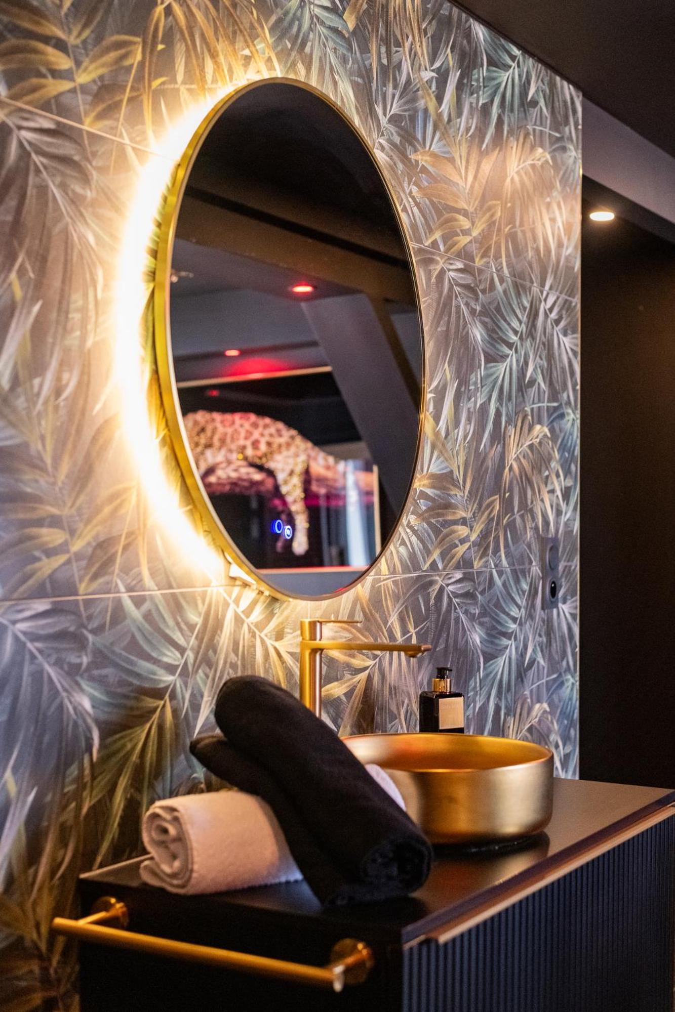 D&s Luxury Apartment Firminy
